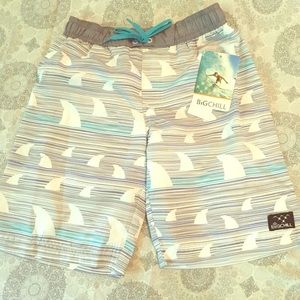 Boys Big Chill Swim Shorts size 5 gray white NWT
